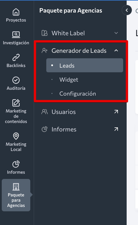 ES_Generador de Leads_Leads_S2
