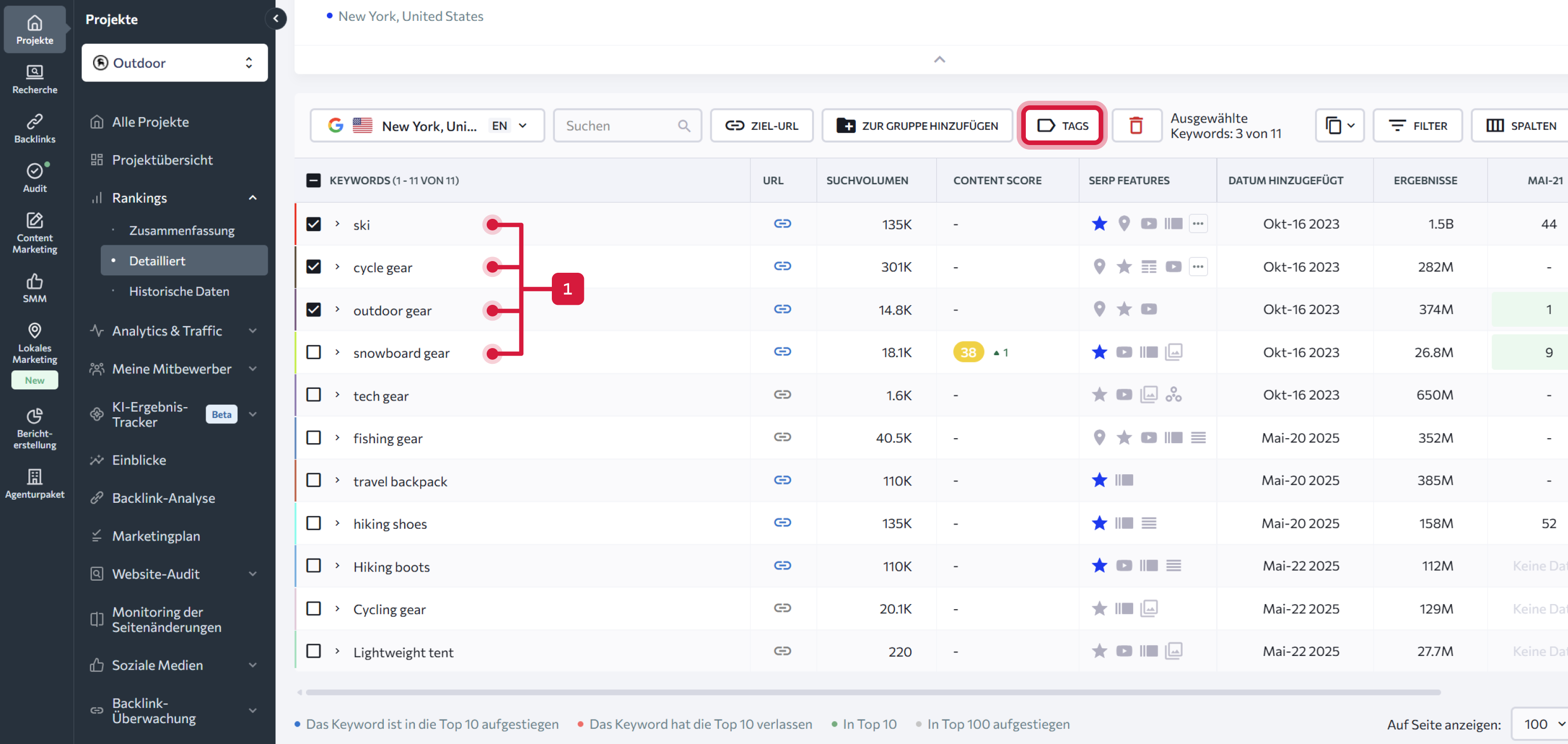 Article #1_ Rankings tab overview_DE_05.png