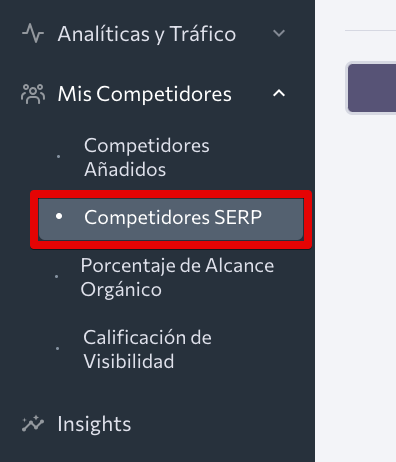 ES_Mis Competidores_Competidores SERP_S2
