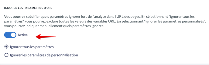 FR_Paramètres de laudit de site web_IGNORER LES PARAMÈTRES DURL_S9
