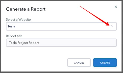 generate_a_report